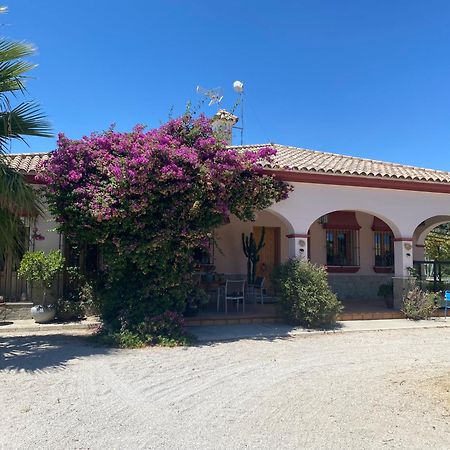 Bungalow entre mer et montagne Arcos de la Frontera Extérieur photo